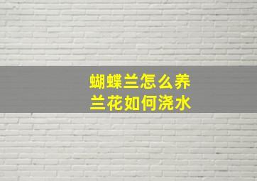 蝴蝶兰怎么养 兰花如何浇水